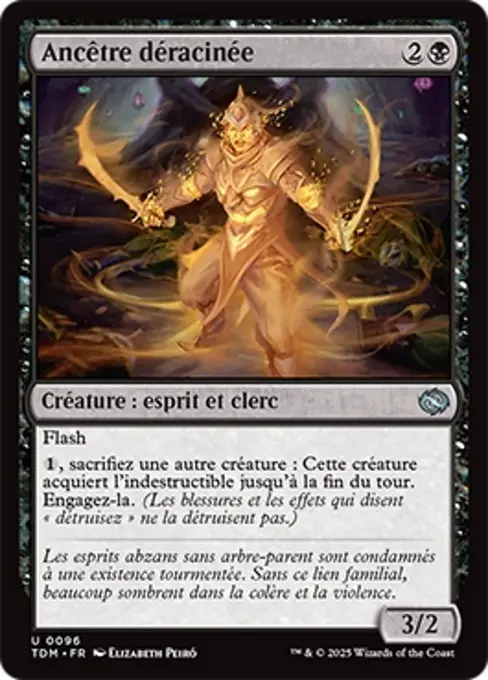 Ancêtre déracinée