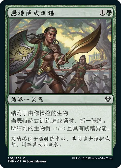 瑟特萨式训练