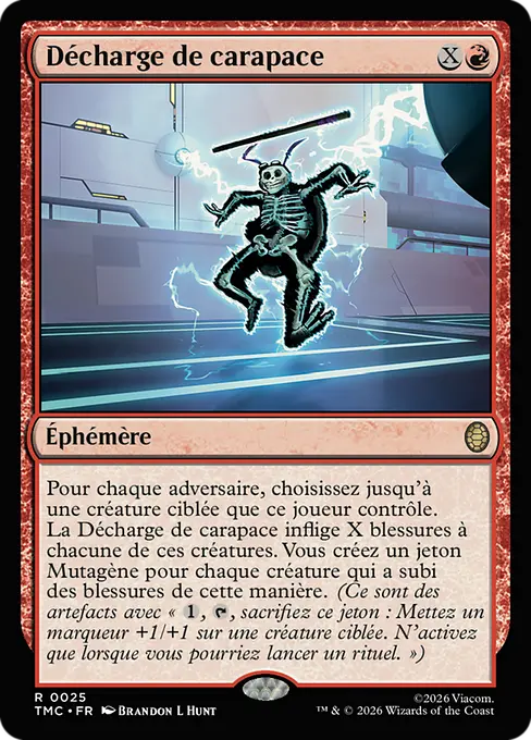 Décharge de carapace