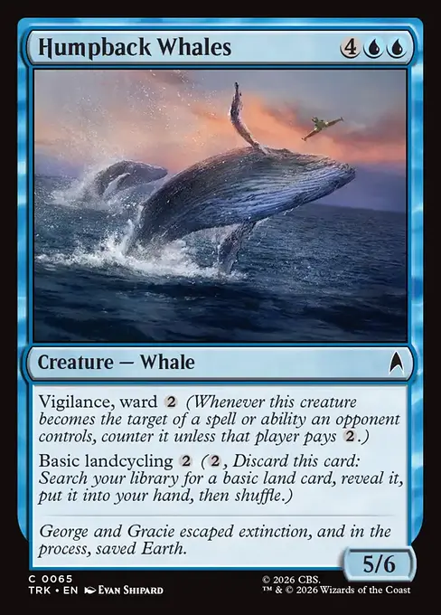 Humpback Whales