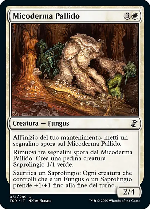 Micoderma Pallido