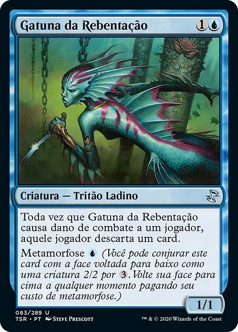 Gatuno da Rebentação