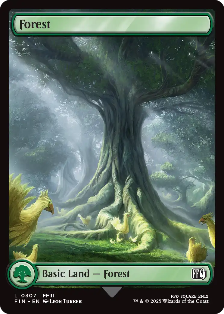 Forest